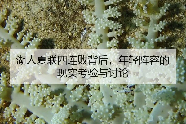 hu-ren-xia-lian-si-lian-bai-bei-hou-nian-qing-zhen-rong-de-xian-shi-kao-yan-yu-tao-lun-2-138.jpg