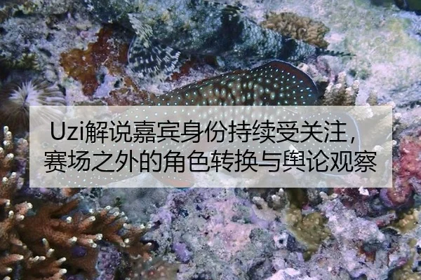 Uzi解说嘉宾身份持续受关注，赛场之外的角色转换与舆论观察